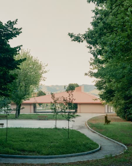 Under the Pink Roof